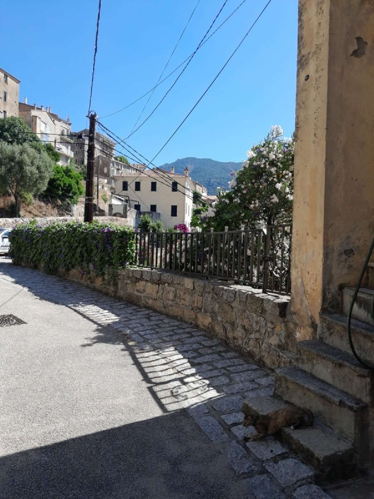for sale house Olmeto Corse-du-Sud 3