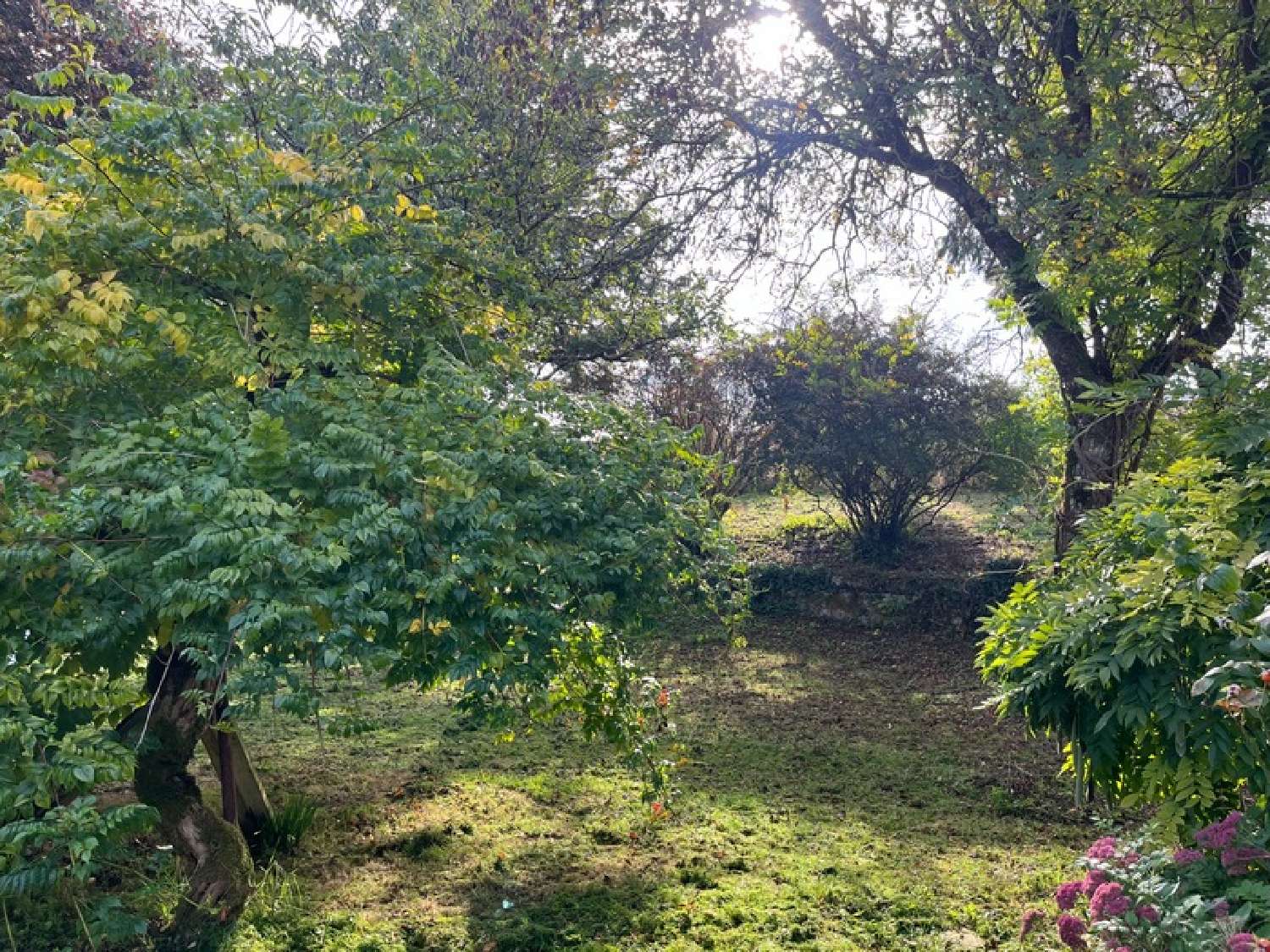  te koop huis Orival Charente 5