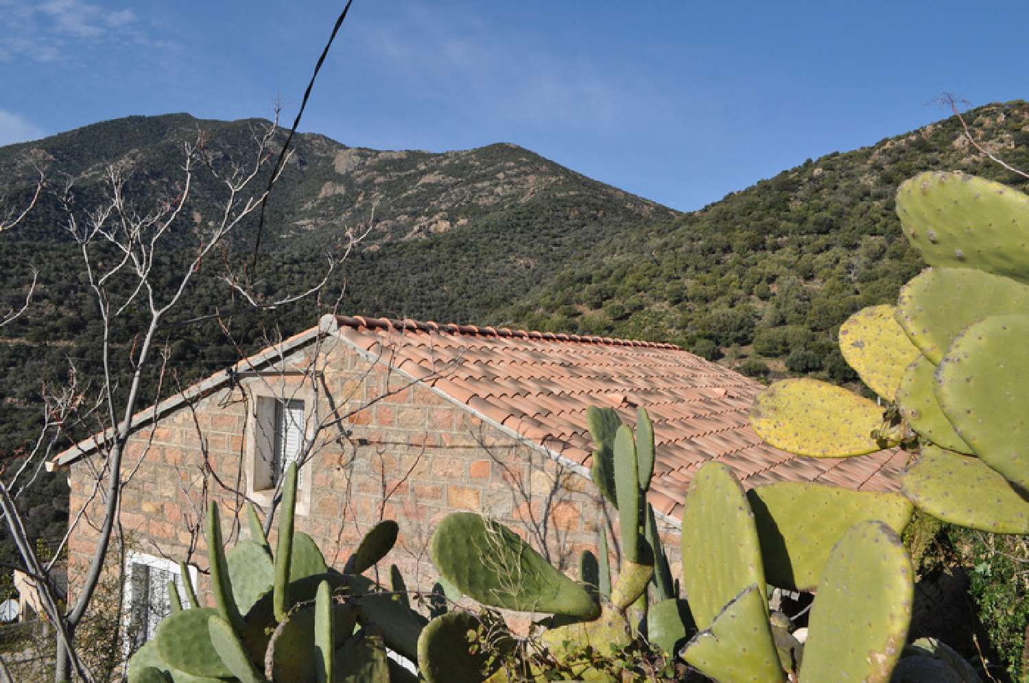  à vendre maison Partinello Corse-du-Sud 3