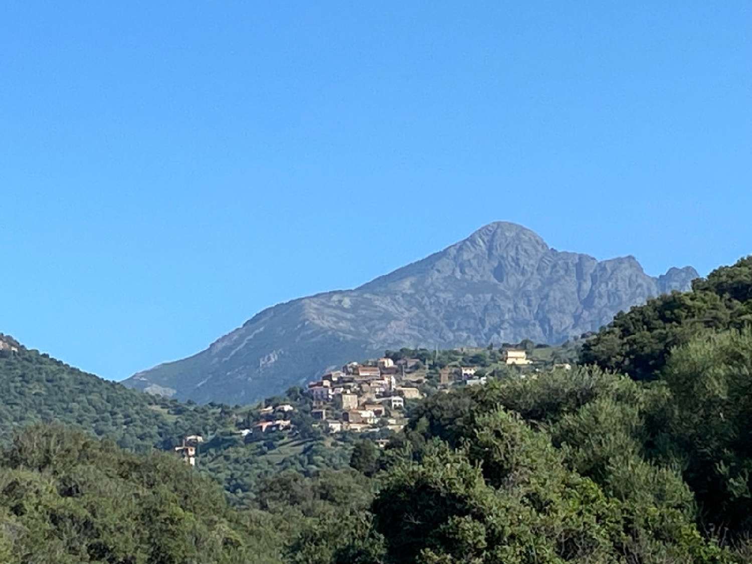  à vendre maison Partinello Corse-du-Sud 6