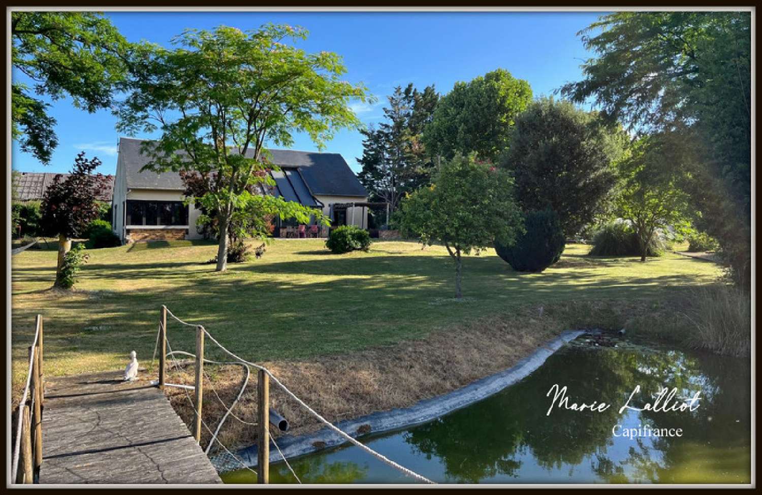 kaufen Haus Pithiviers-le-Vieil Loiret 1