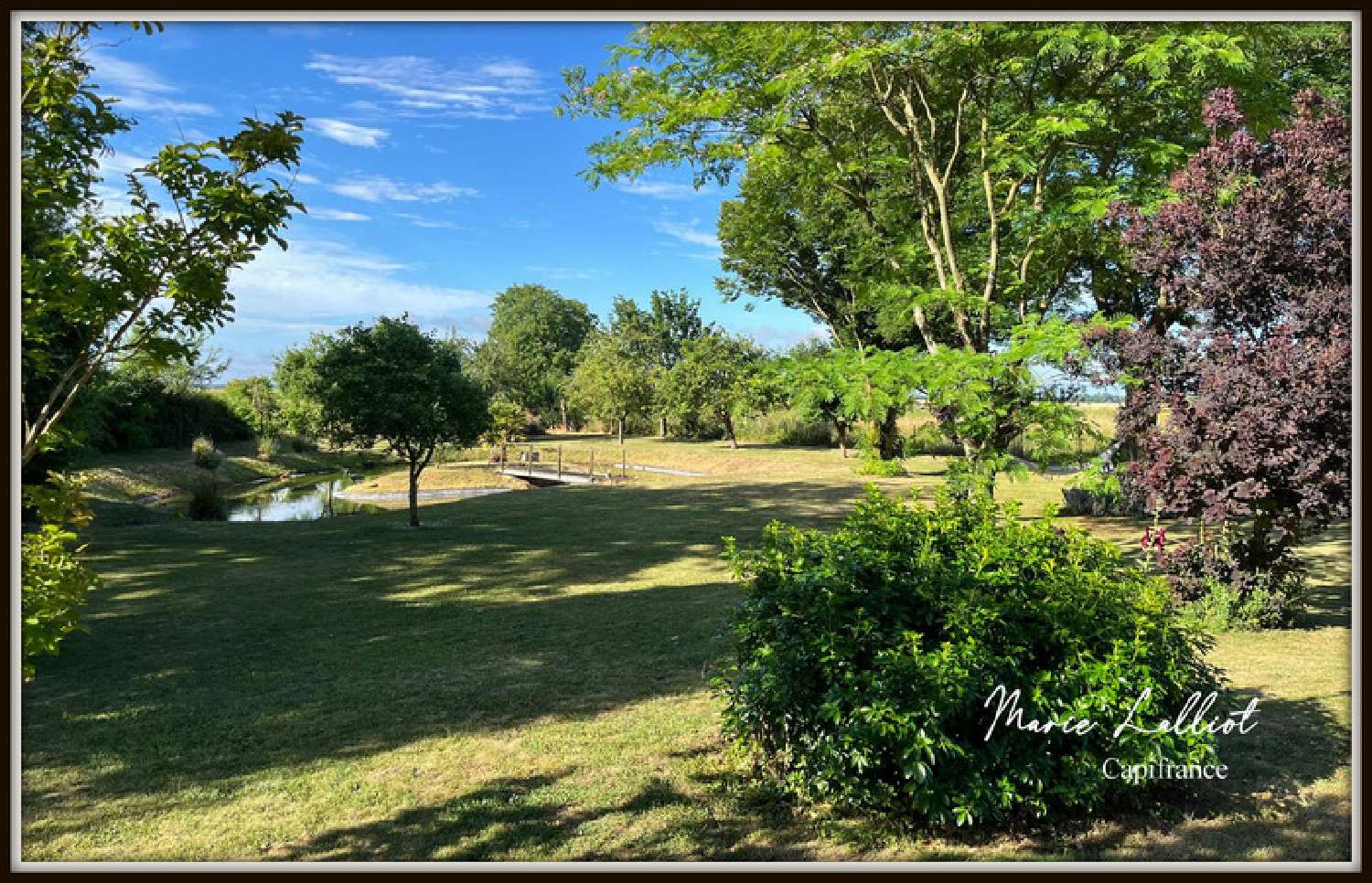 kaufen Haus Pithiviers-le-Vieil Loiret 4