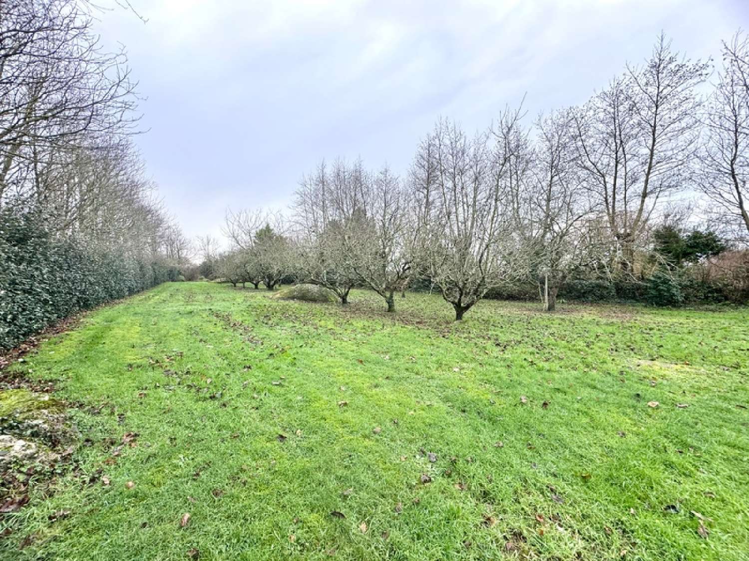  kaufen Haus Plouarzel Finistère 2