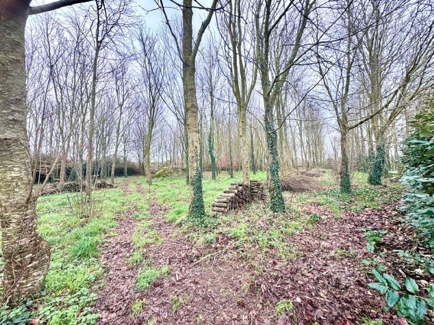  kaufen Haus Plouarzel Finistère 3