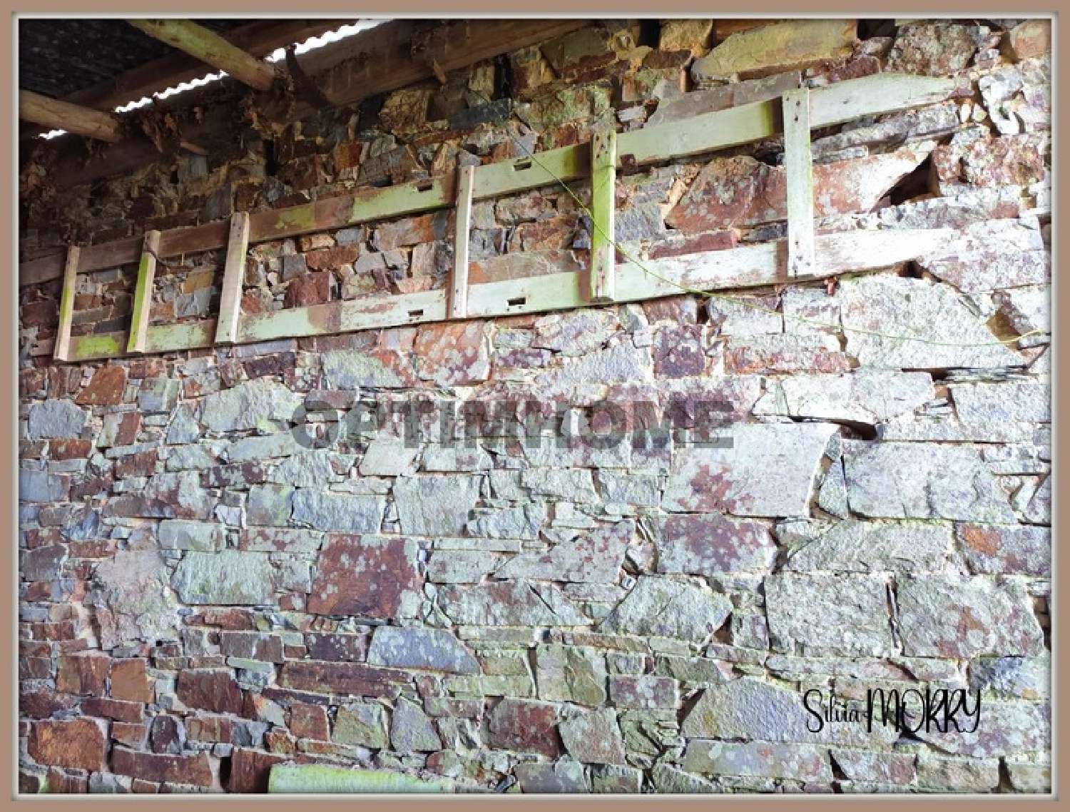 à vendre maison Ploudiry Finistère 5