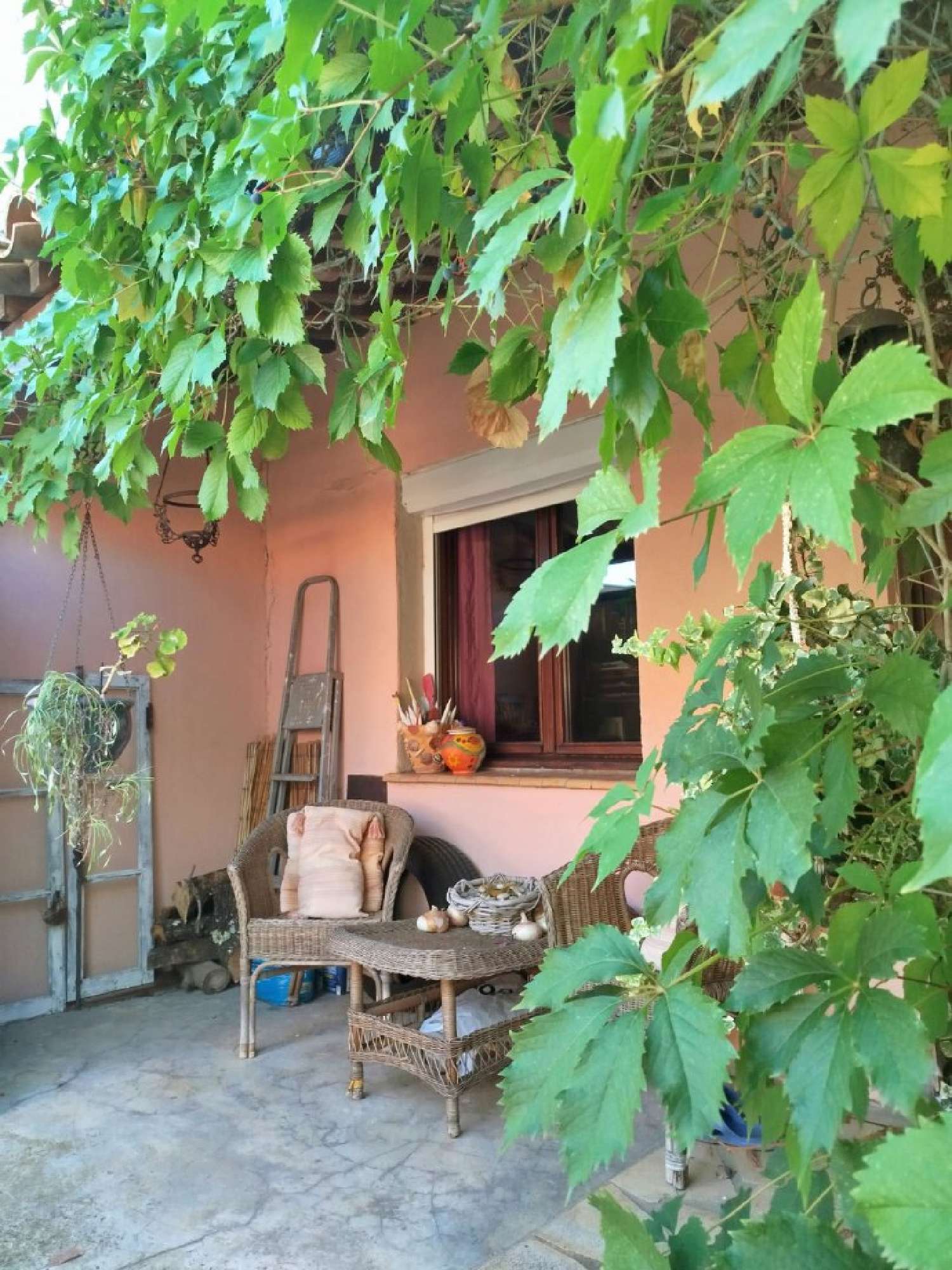  à vendre maison Pomérols Hérault 7