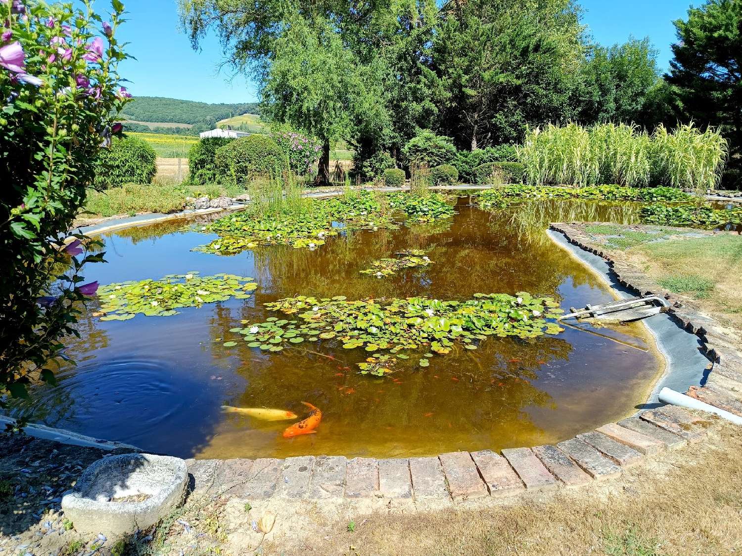  for sale house Puybegon Tarn 6