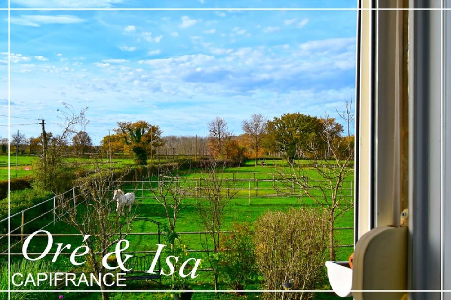  for sale house Reigny Cher 4