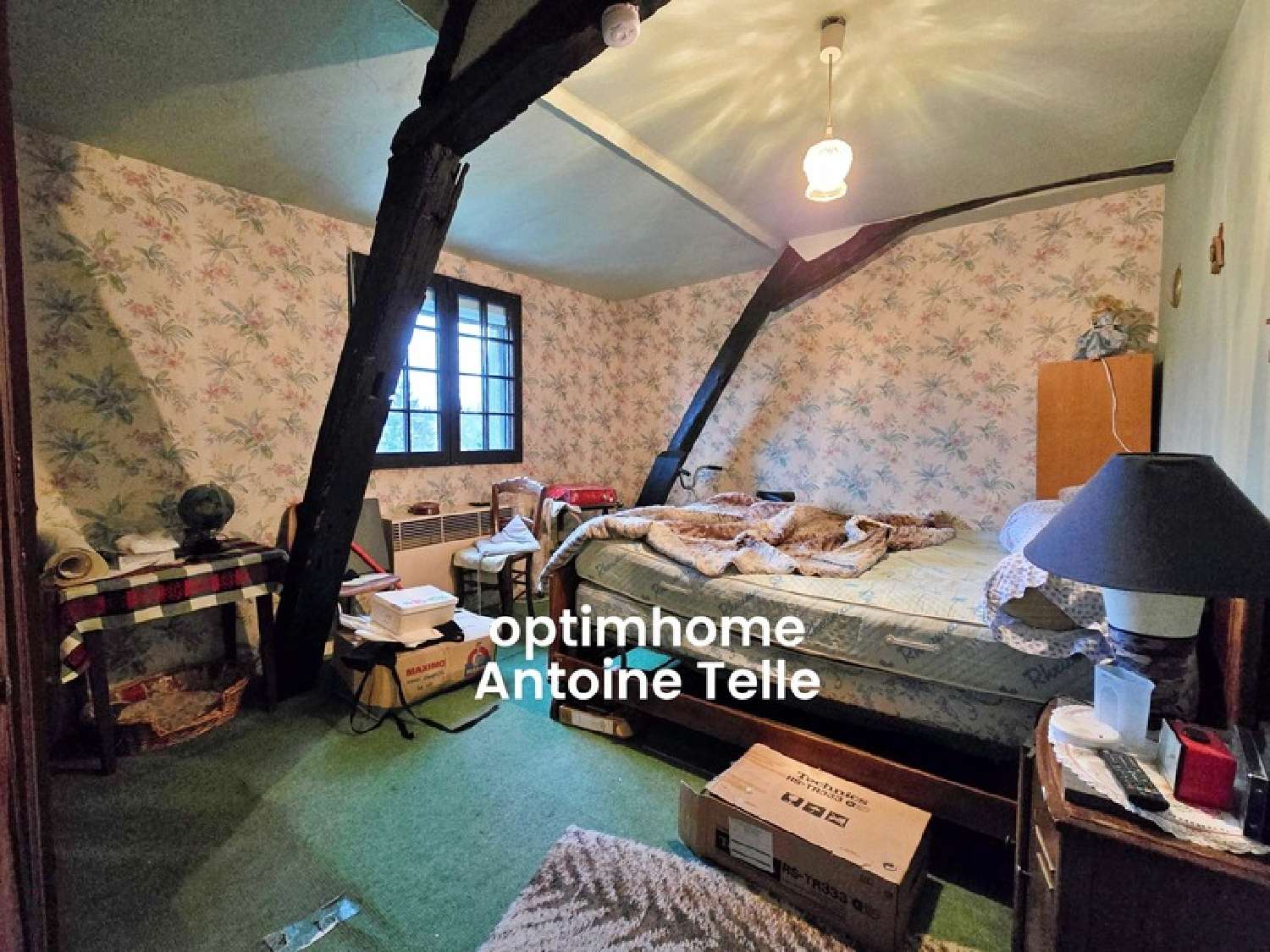  for sale house Rejet-de-Beaulieu Nord 8