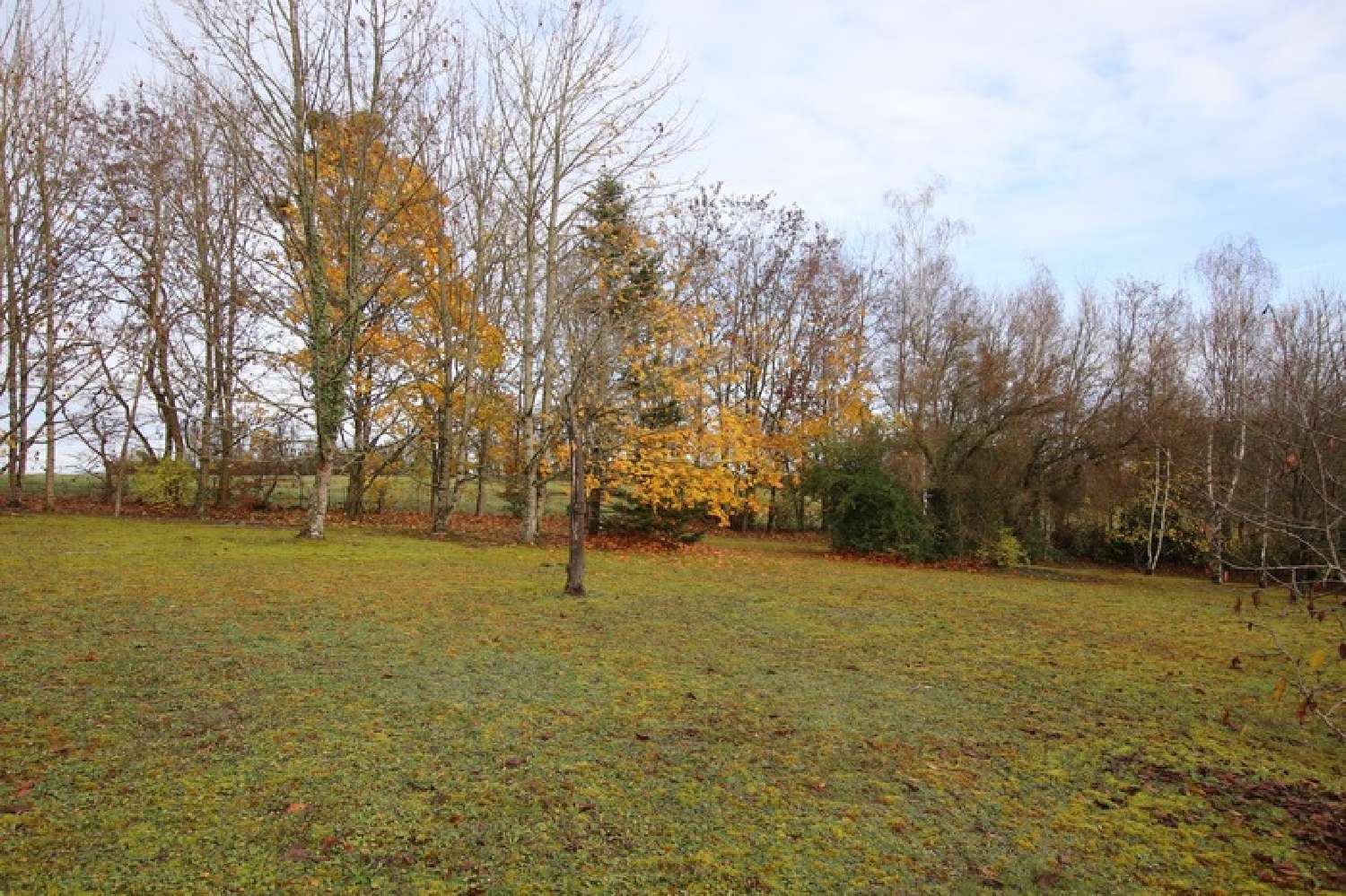  for sale house Reuilly Indre 5