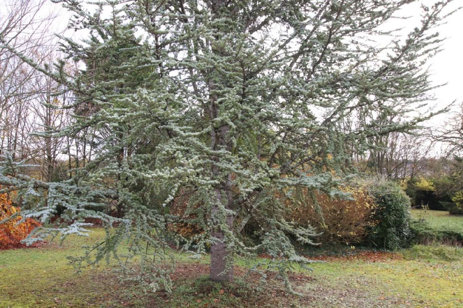  for sale house Reuilly Indre 6