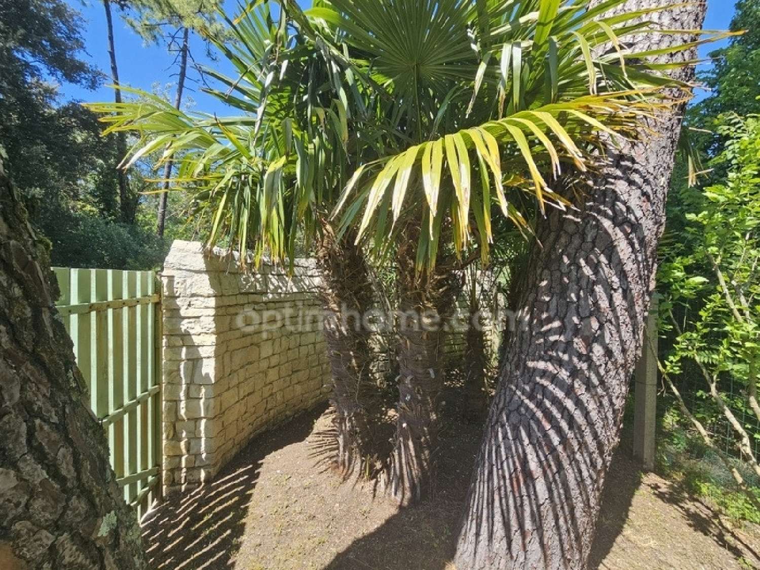  en venta casa Rivedoux-Plage Charente-Maritime 3