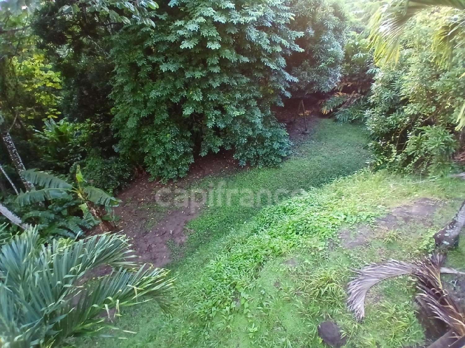 à vendre maison Rivière-Pilote Martinique 3