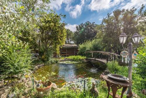 Roquefort-les-pins Alpes-Maritimes Haus Bild 7249281