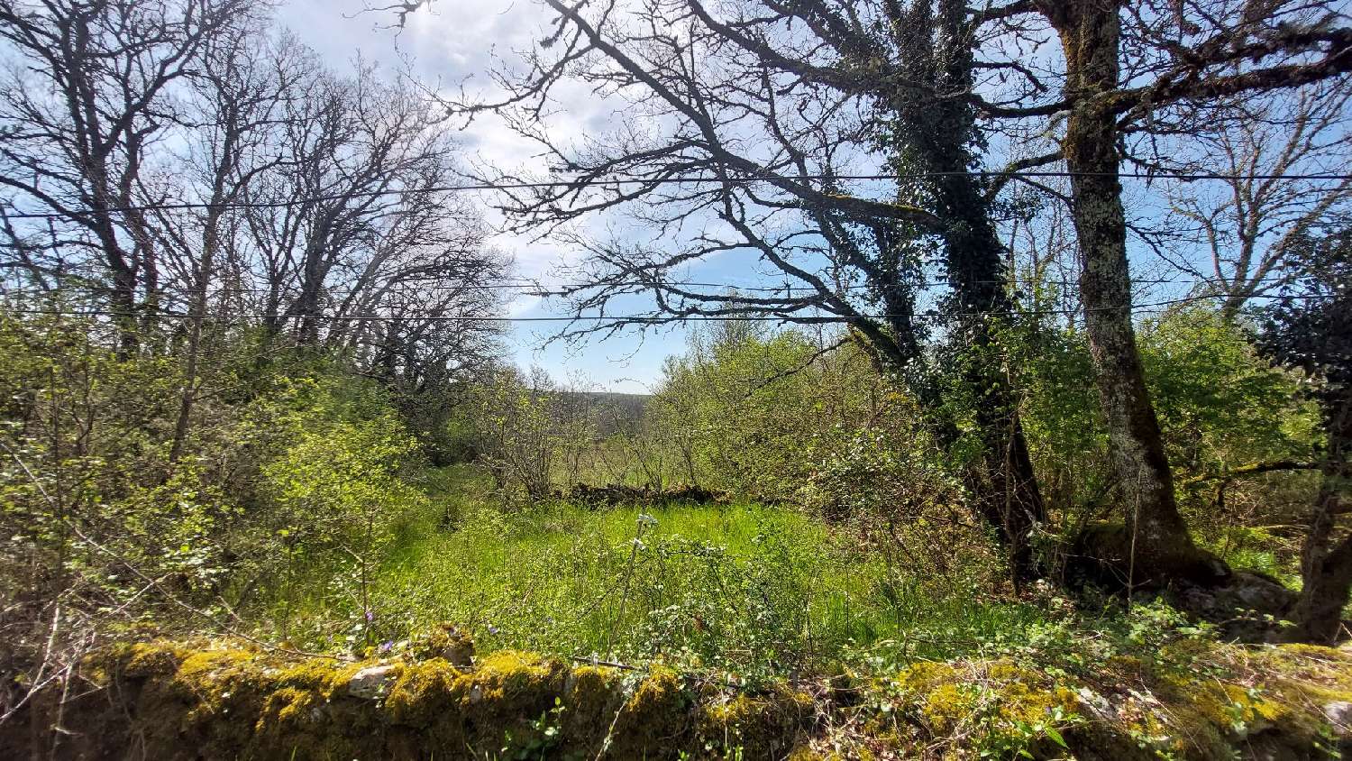 for sale house Saillac Lot 3