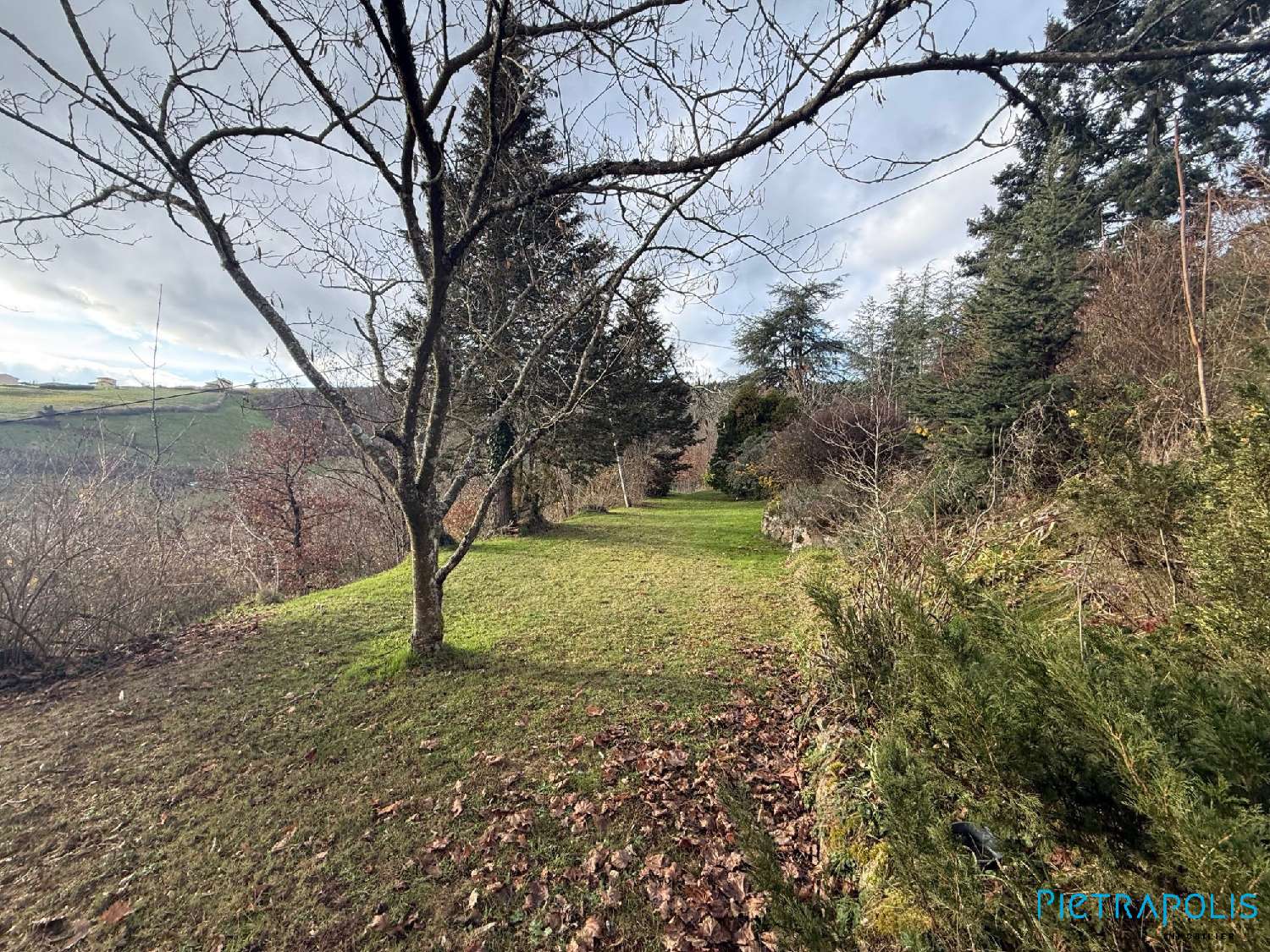 à vendre maison Saint-Clément-sur-Valsonne Rhône 5