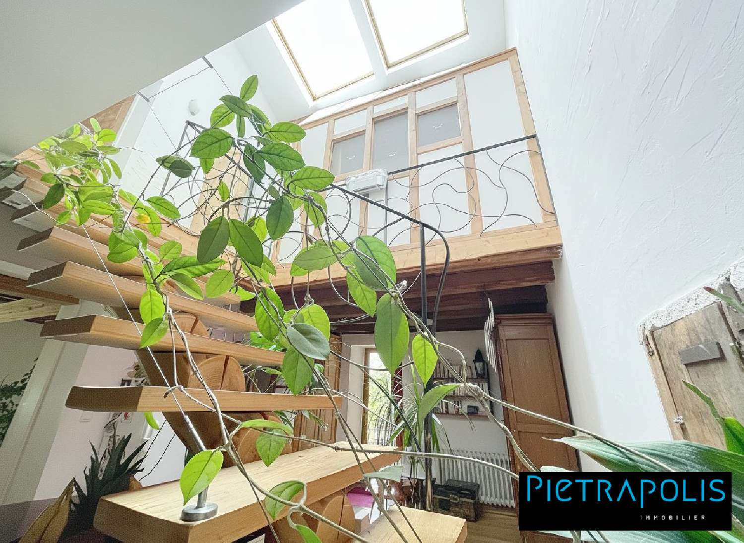  te koop huis Saint-Cyr-au-Mont-d'Or Rhône 4