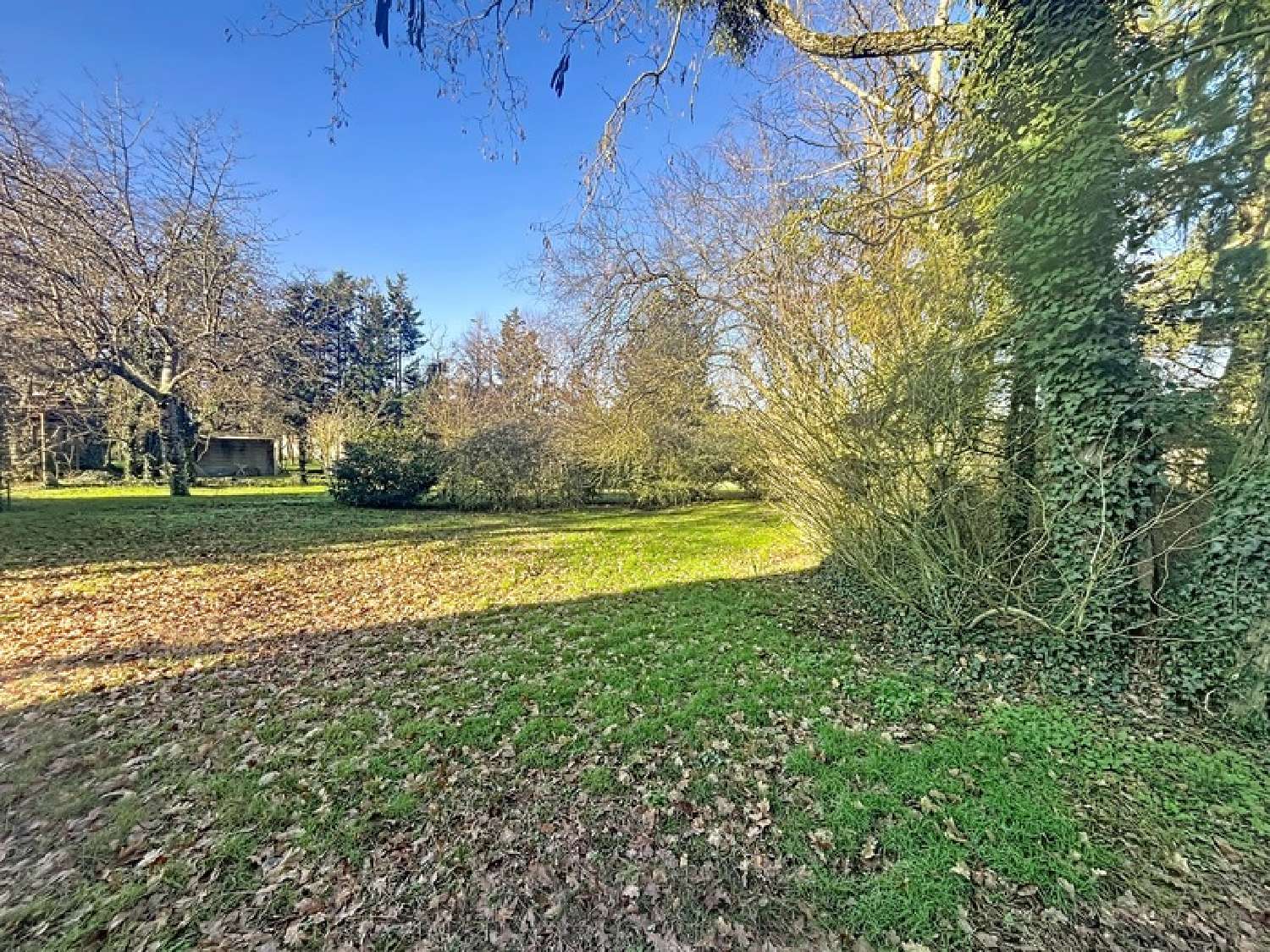  te koop huis Saint-Denis-en-Val Loiret 3