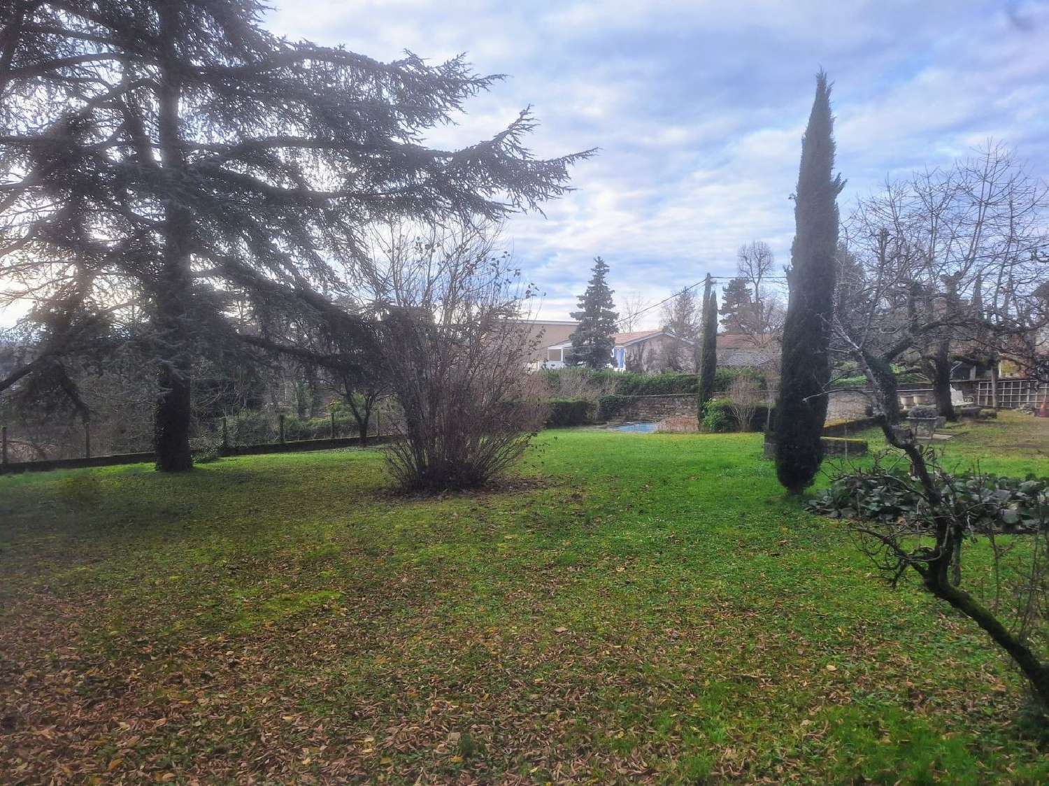  te koop huis Saint-Didier-au-Mont-d'Or Rhône 4