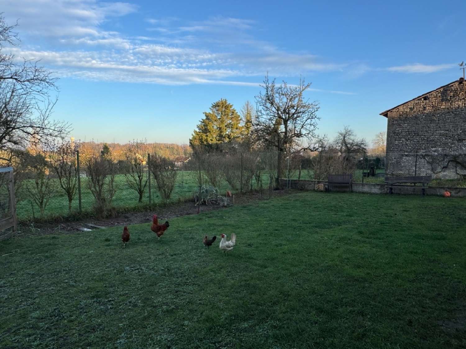  à vendre maison Saint-Dizier Haute-Marne 2