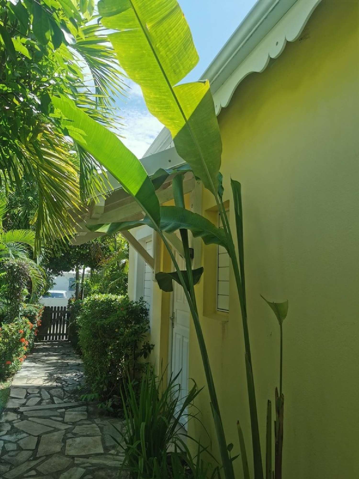 te koop huis Saint-François Guadeloupe 8