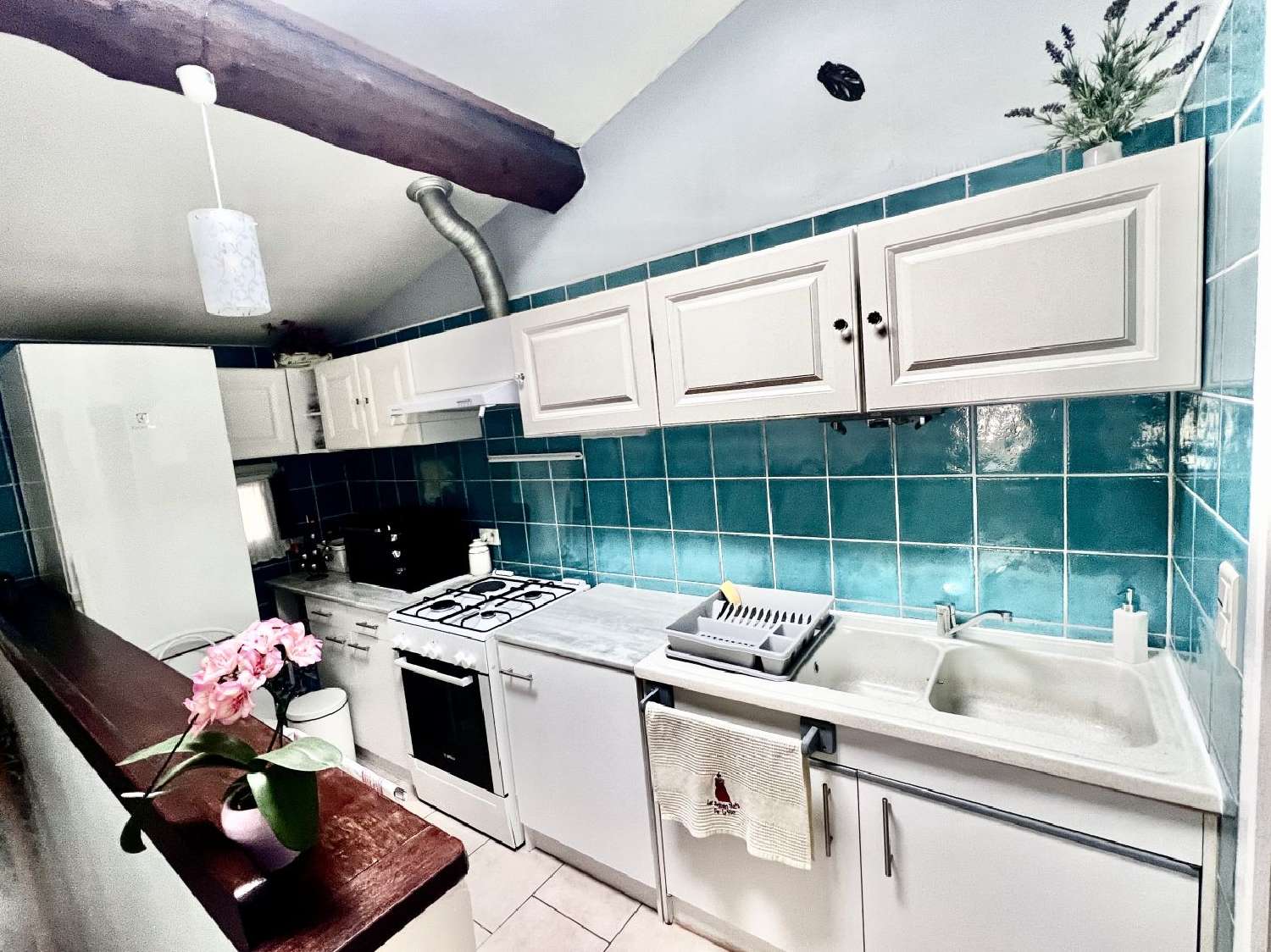 te koop huis Saint-Gilles Gard 3