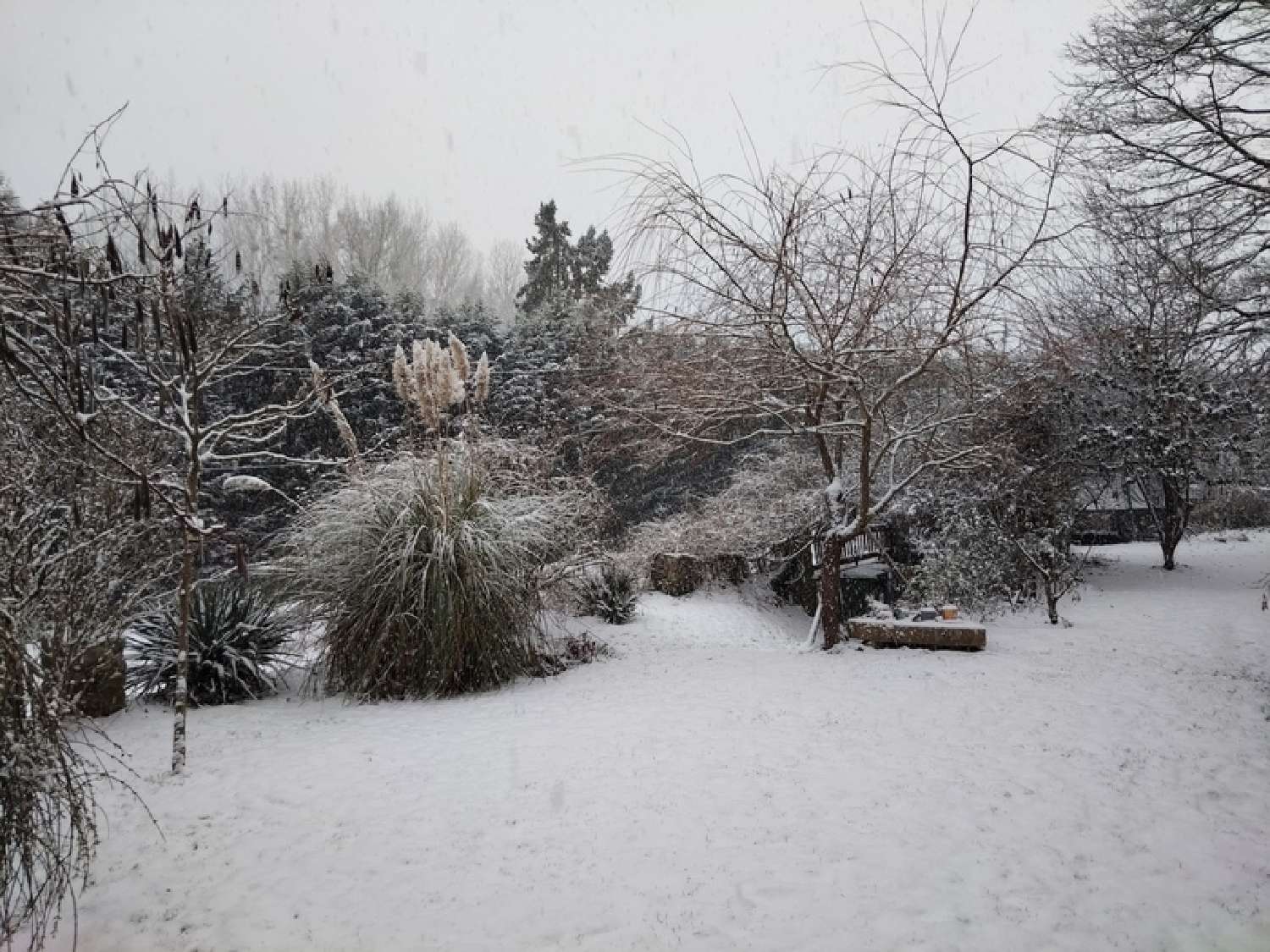  te koop huis Saint-Hilarion Yvelines 2