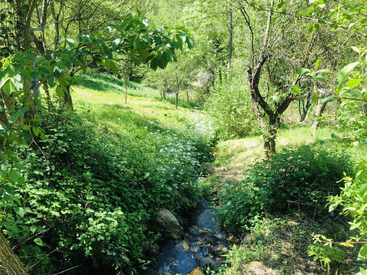 en venta casa Saint-Lary Ariège 5