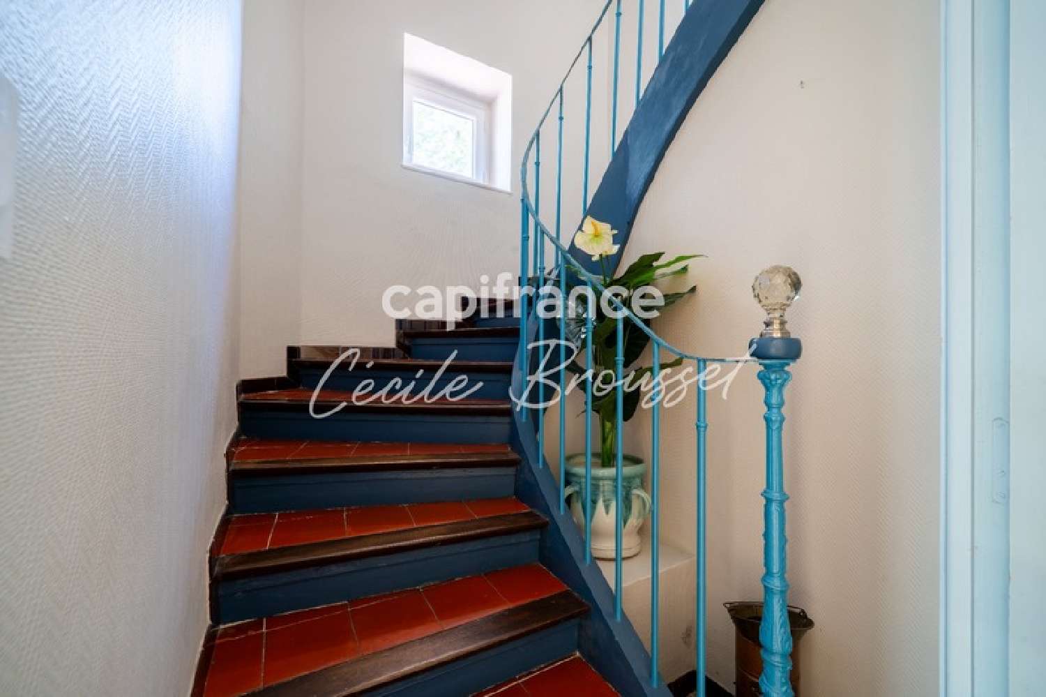  en venta casa Saint-Laurent-de-Cerdans Pirineo Oriental 4