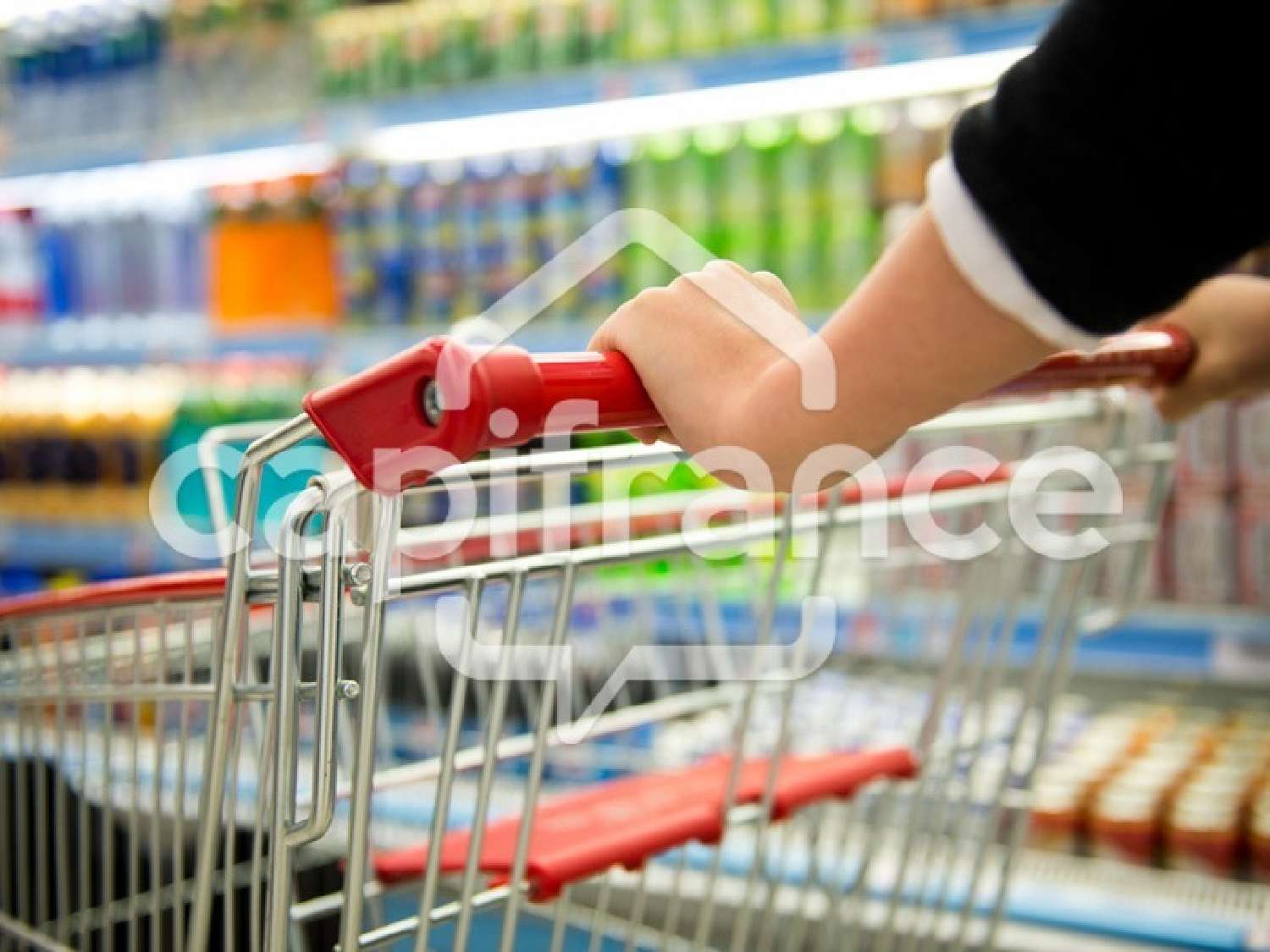  à vendre maison Saint-Laurent-de-la-Salle Vendée 3