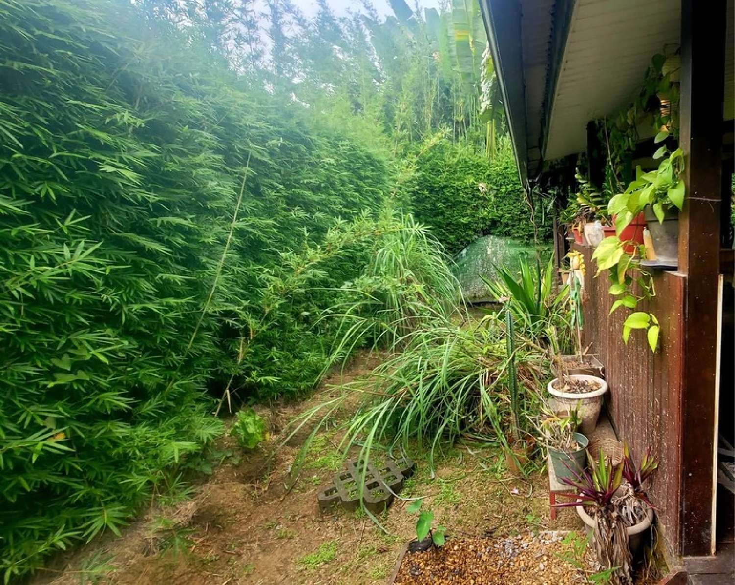 te koop huis Saint-Laurent-du-Maroni Guyane 7