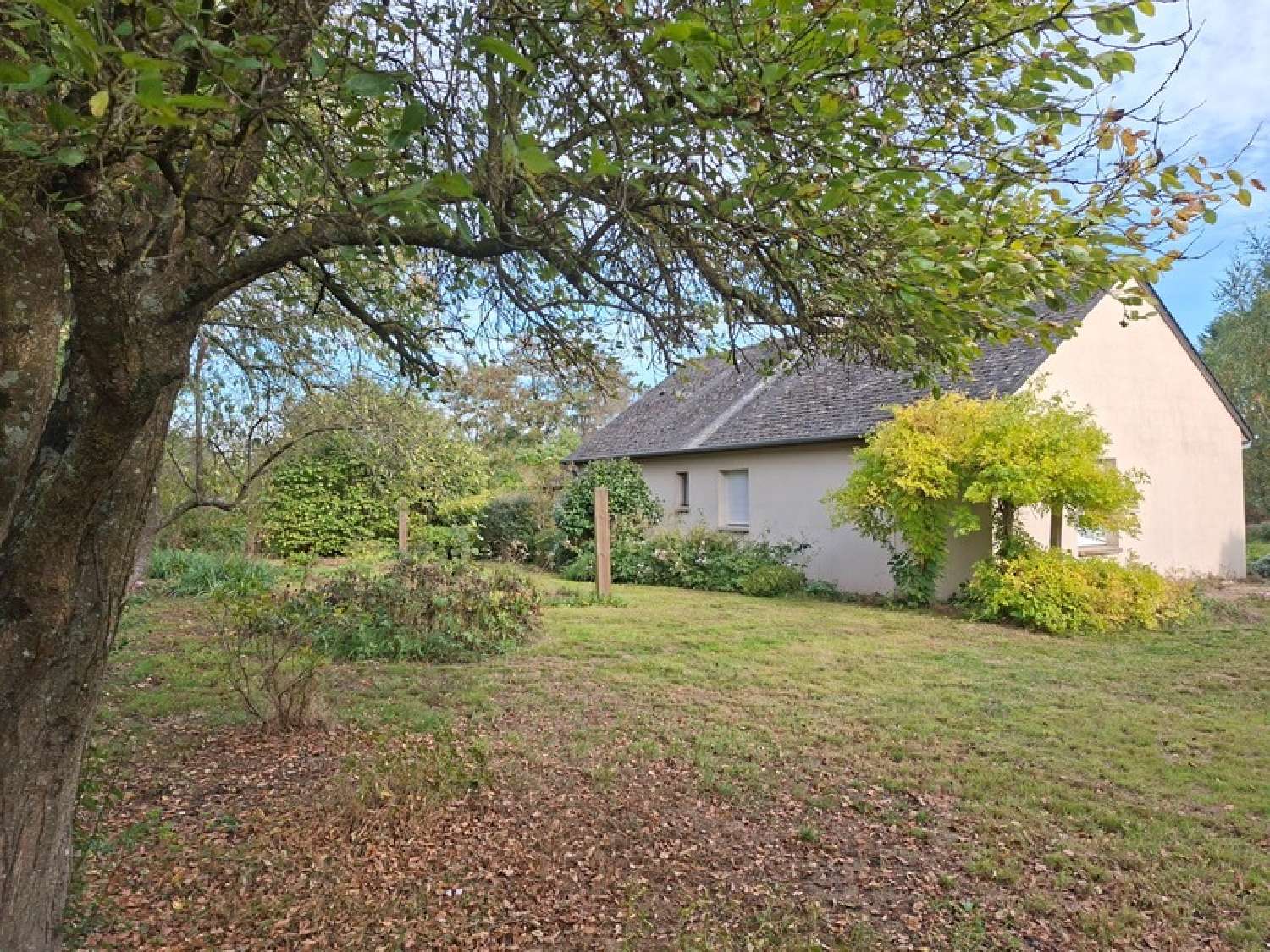 te koop huis Saint-Loup-du-Gast Mayenne 3