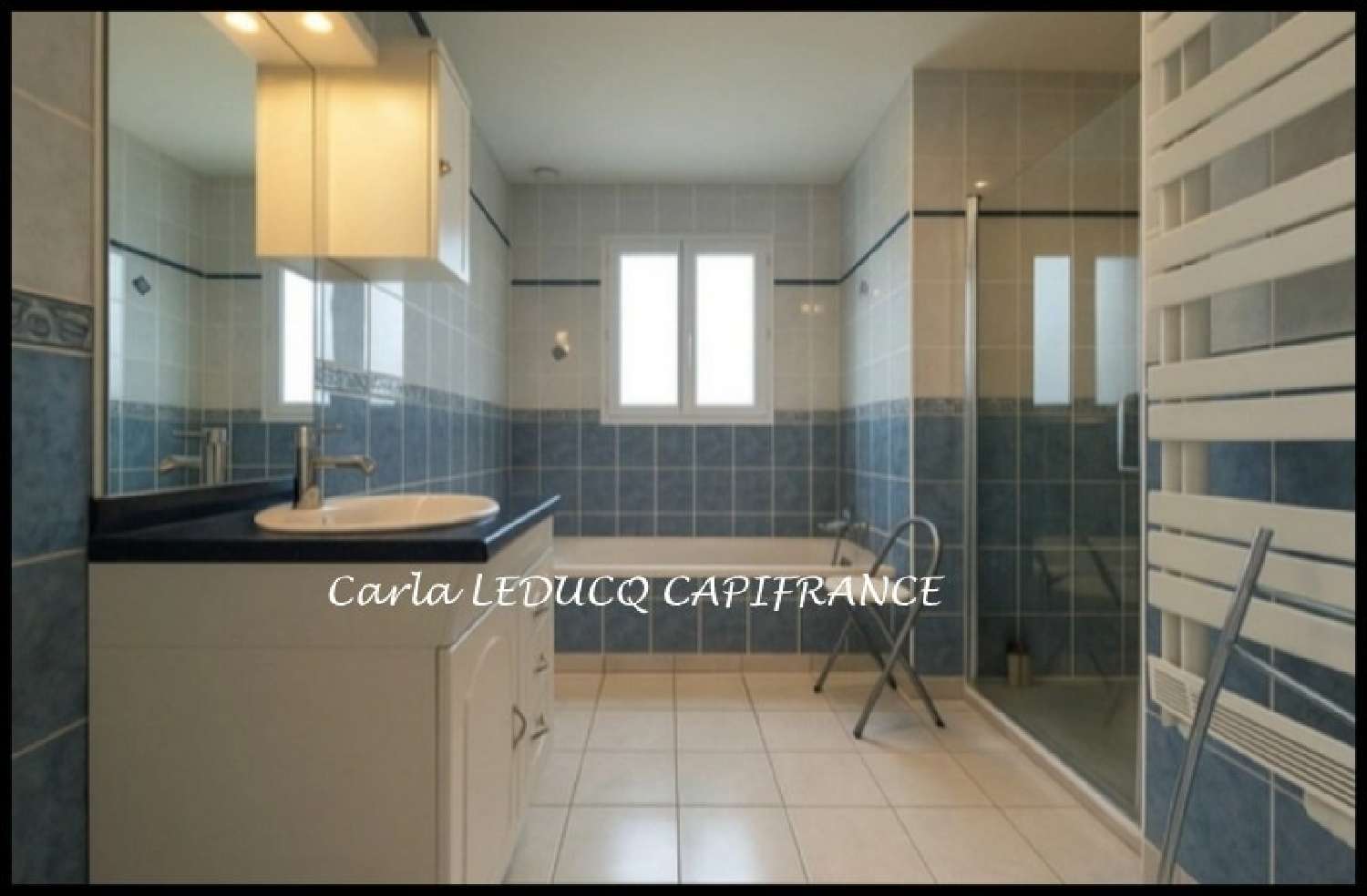 kaufen Haus Saint-Martin-de-Saint-Maixent Deux-Sèvres 7