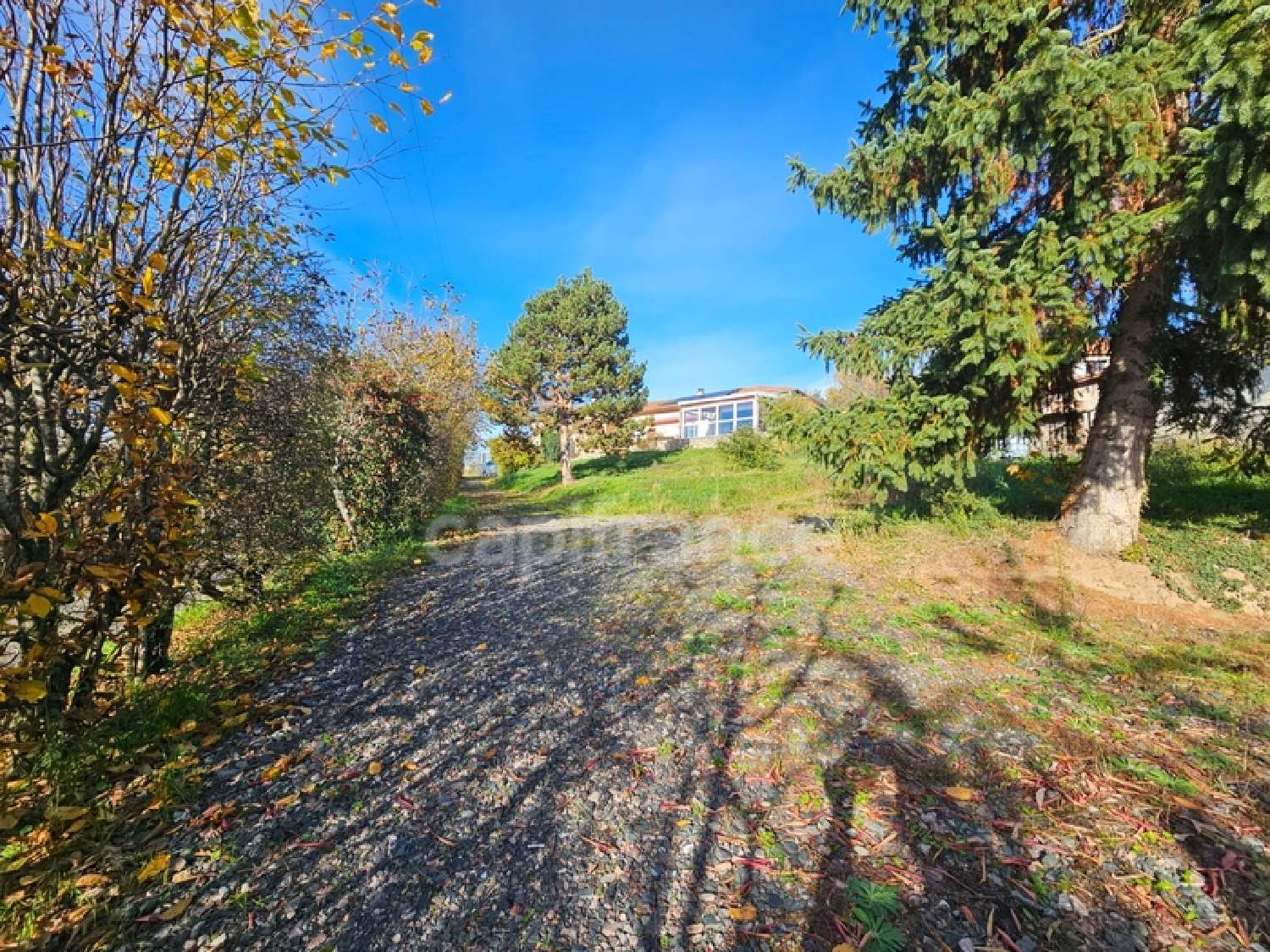 à vendre maison Saint-Martin-Lestra Loire 2