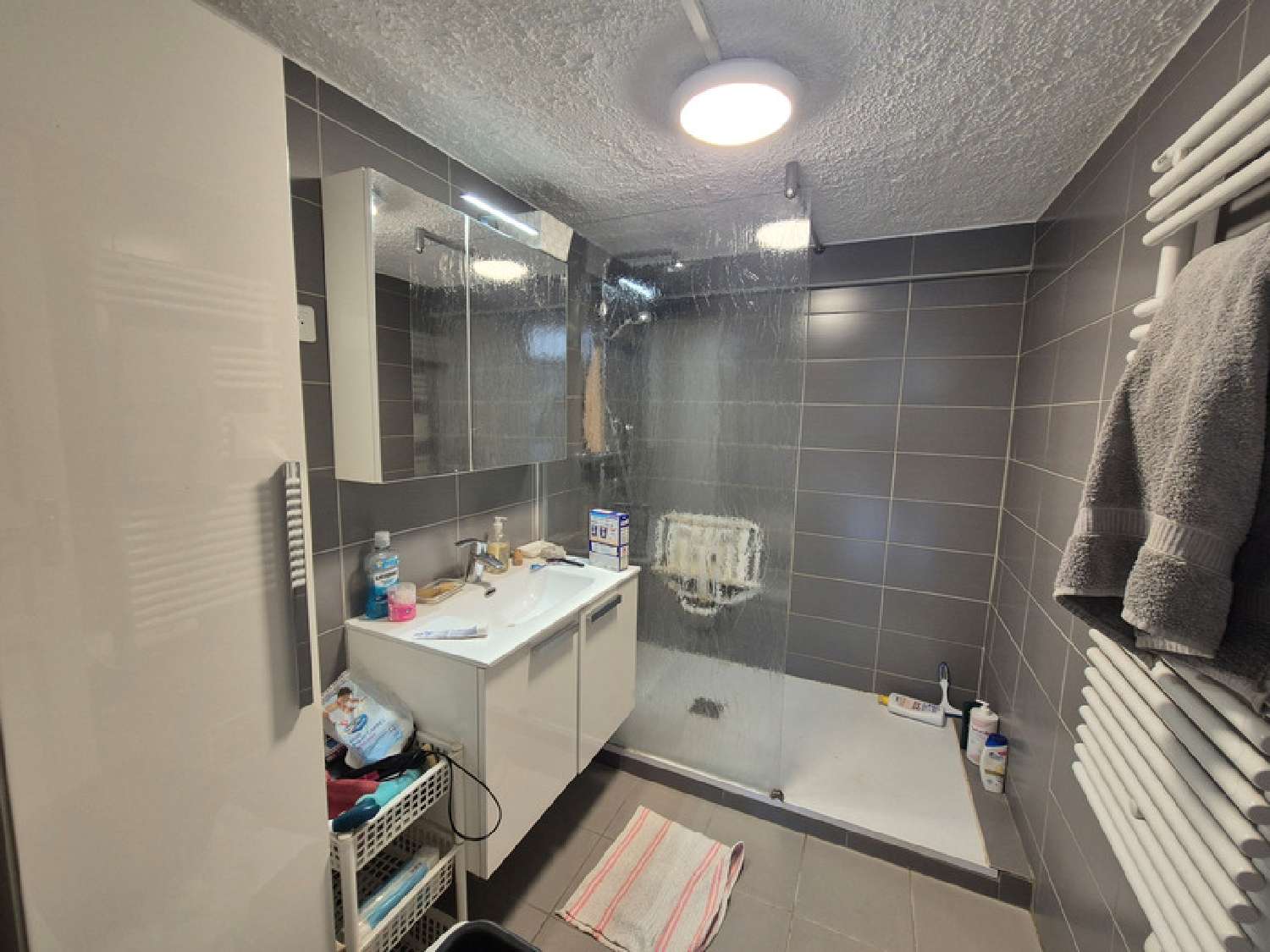  kaufen Haus Saint-Martin-d'Hères Isère 6