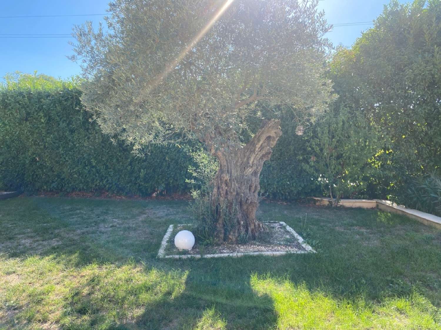  te koop huis Saint-Martin-de-Valgalgues Gard 8