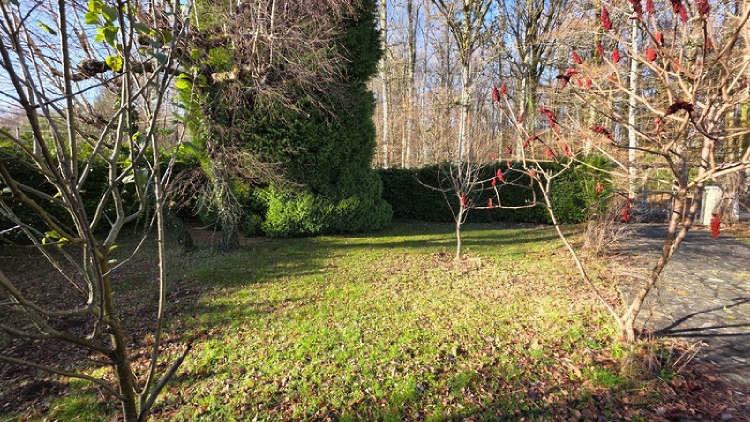  kaufen Haus Saint-Merd-de-Lapleau Corrèze 3