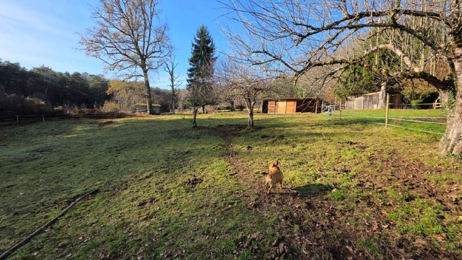  kaufen Haus Saint-Merd-de-Lapleau Corrèze 4