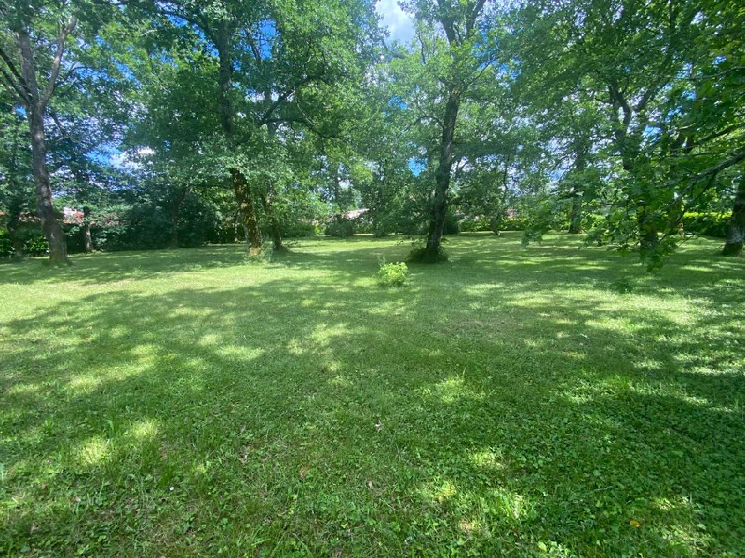  kaufen Haus Saint-Pierre-du-Mont Landes 5