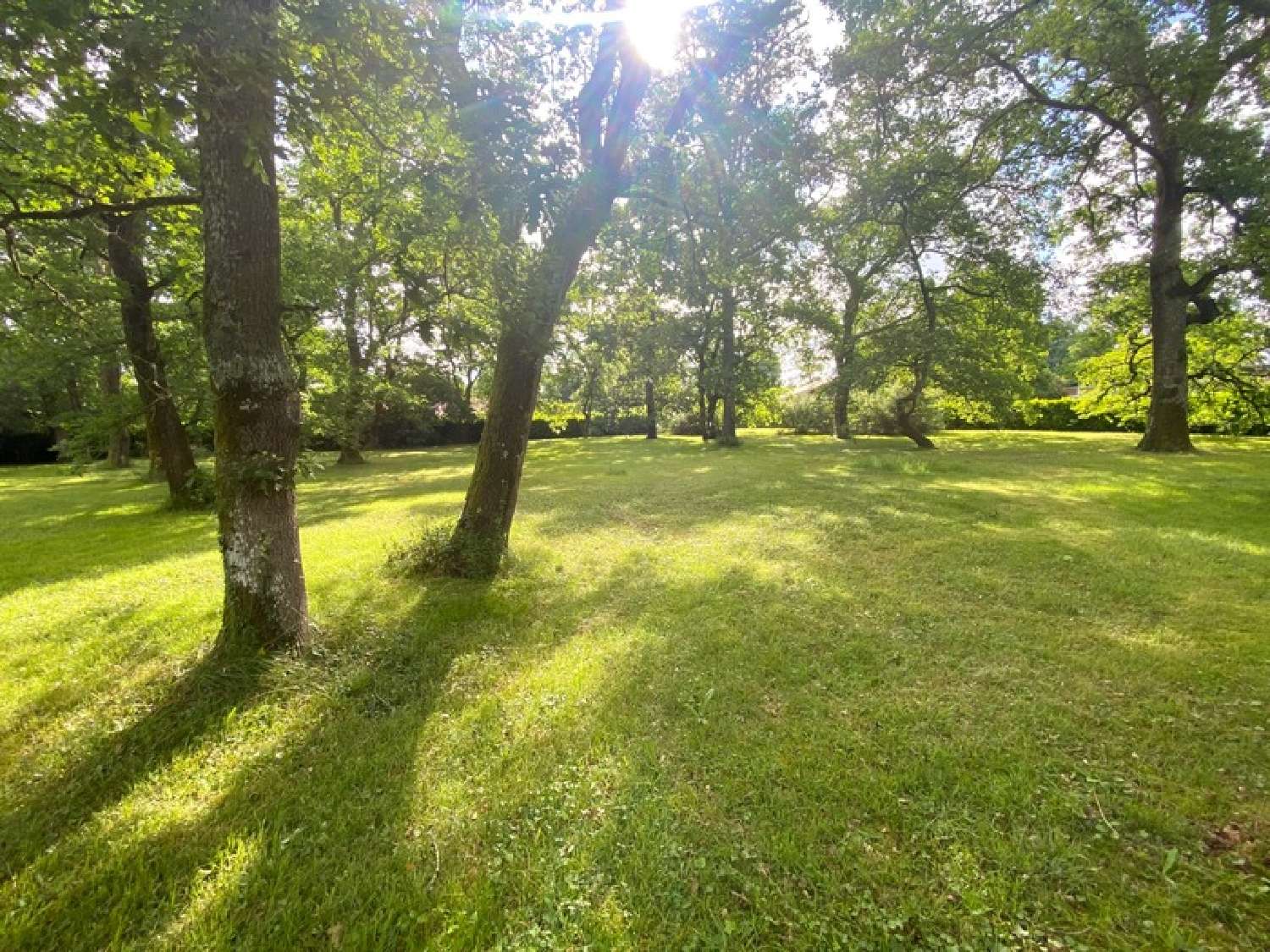  kaufen Haus Saint-Pierre-du-Mont Landes 7