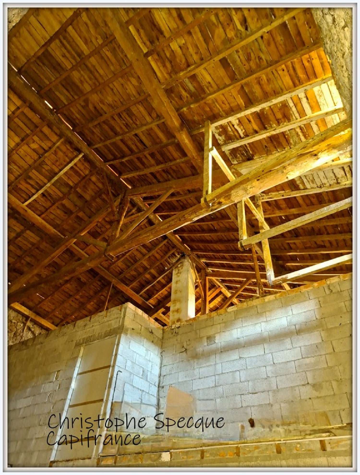  kaufen Haus Saint-Priest-la-Vêtre Loire 5