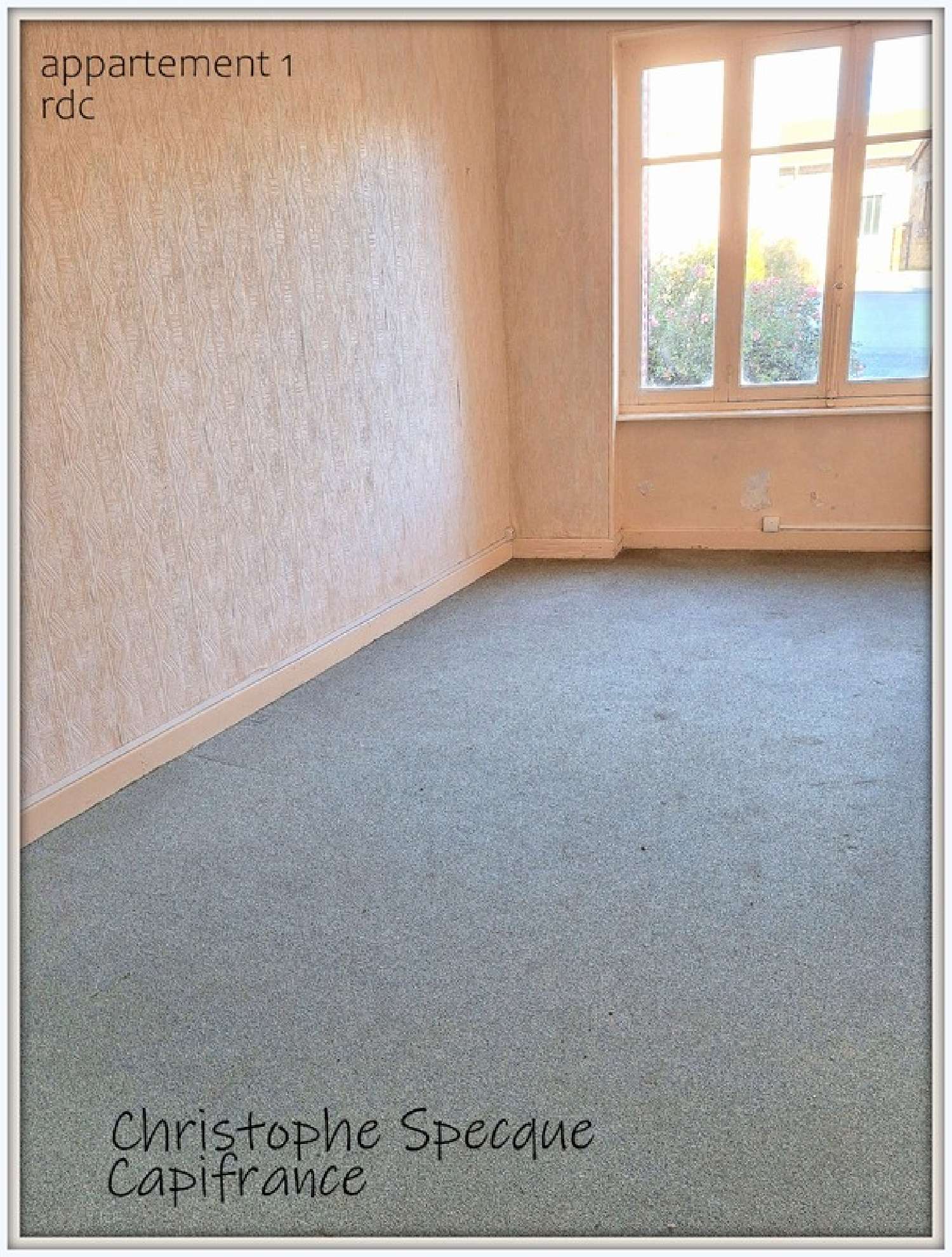  kaufen Haus Saint-Priest-la-Vêtre Loire 6