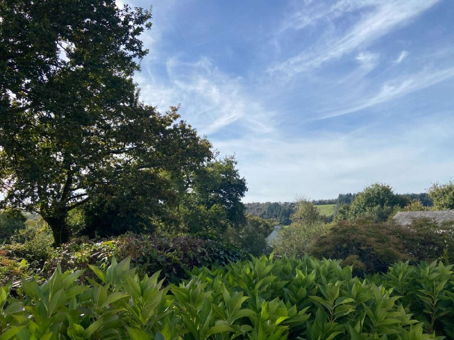  te koop huis Saint-Rivoal Finistère 8