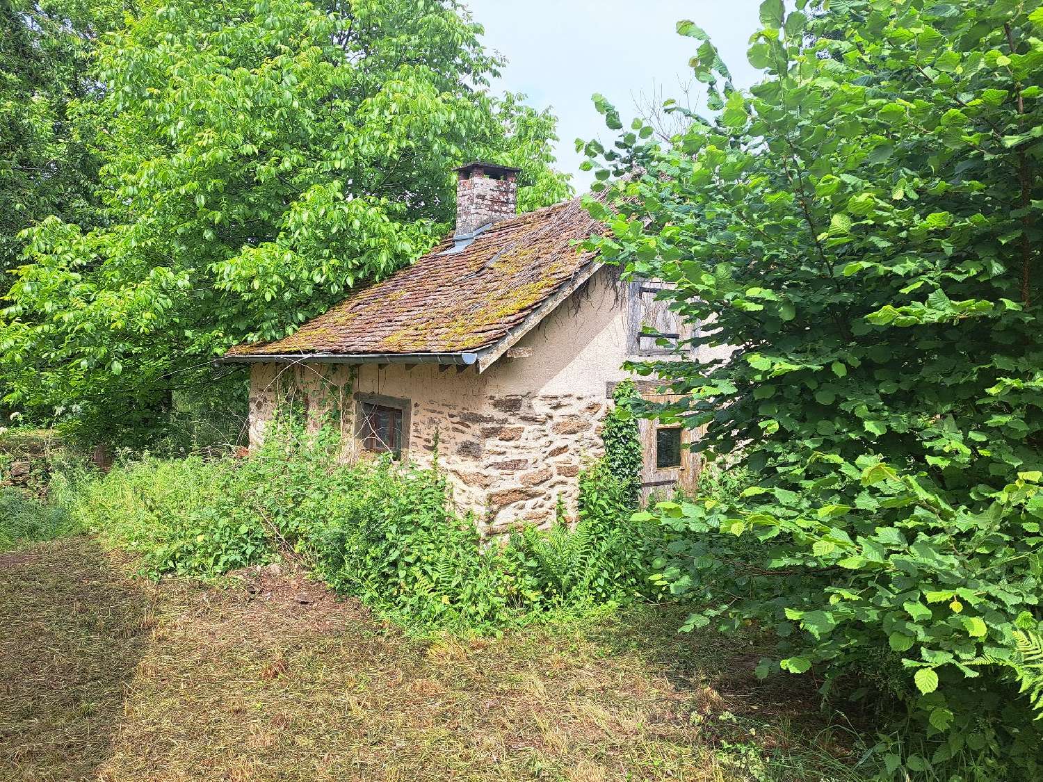  à vendre maison Saint-Sornin-Lavolps Corrèze 5