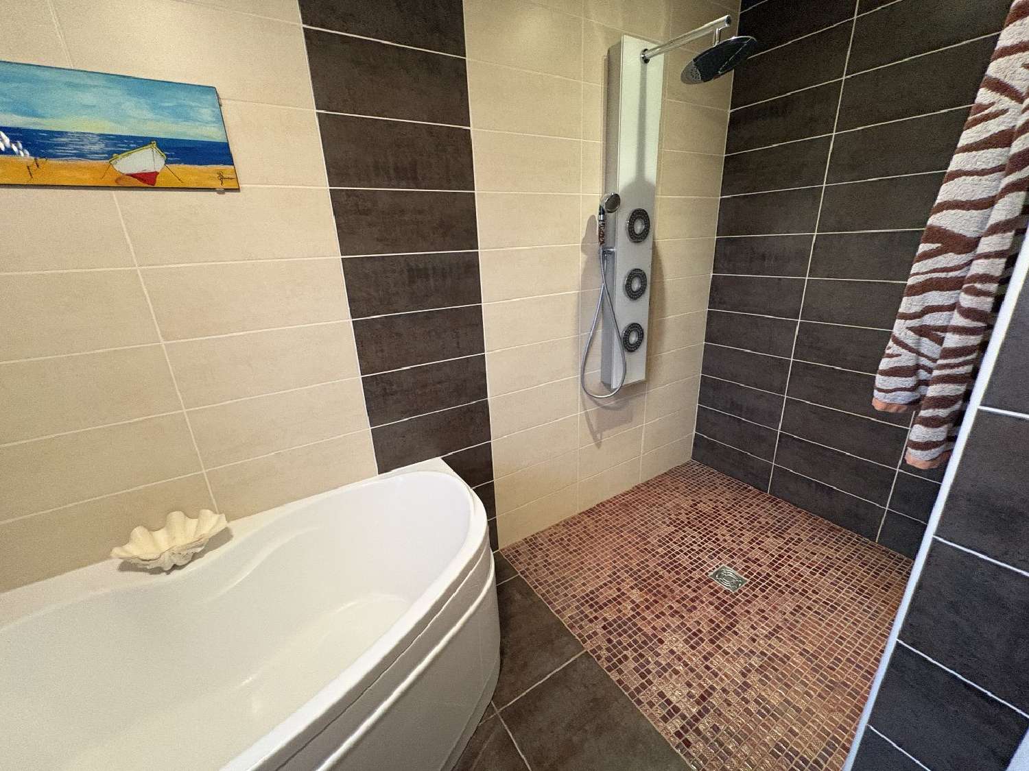  for sale house Saint-Thibéry Hérault 8