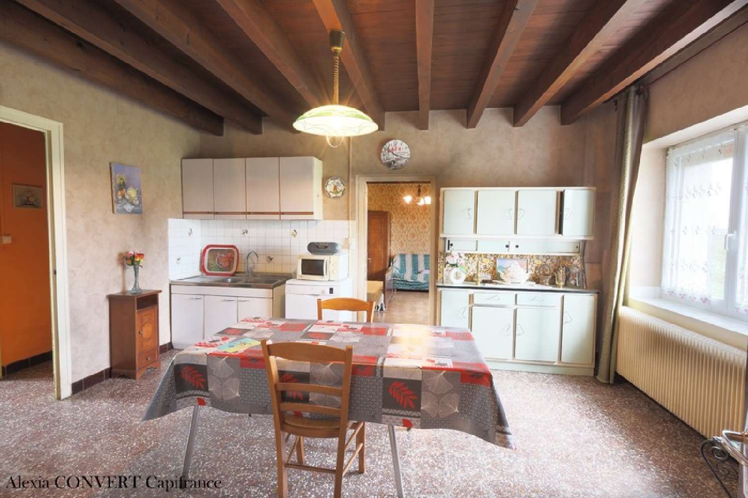  te koop huis Saint-Trivier-de-Courtes Ain 3