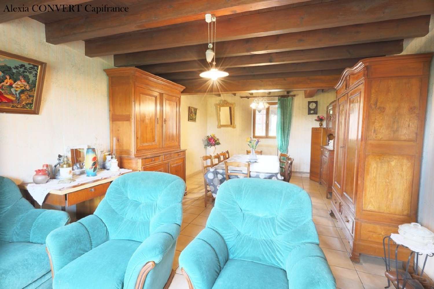  te koop huis Saint-Trivier-de-Courtes Ain 4