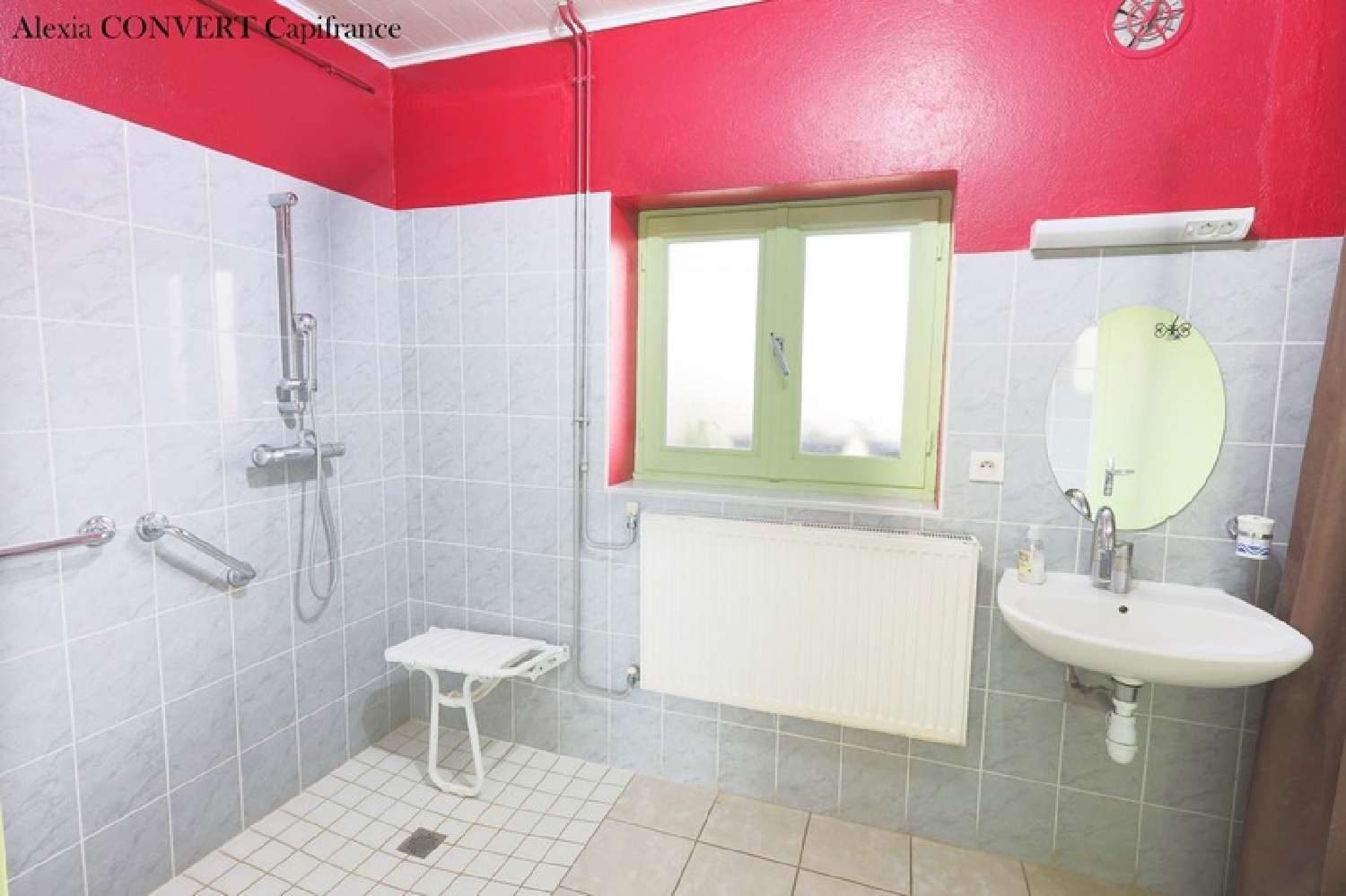  te koop huis Saint-Trivier-de-Courtes Ain 7