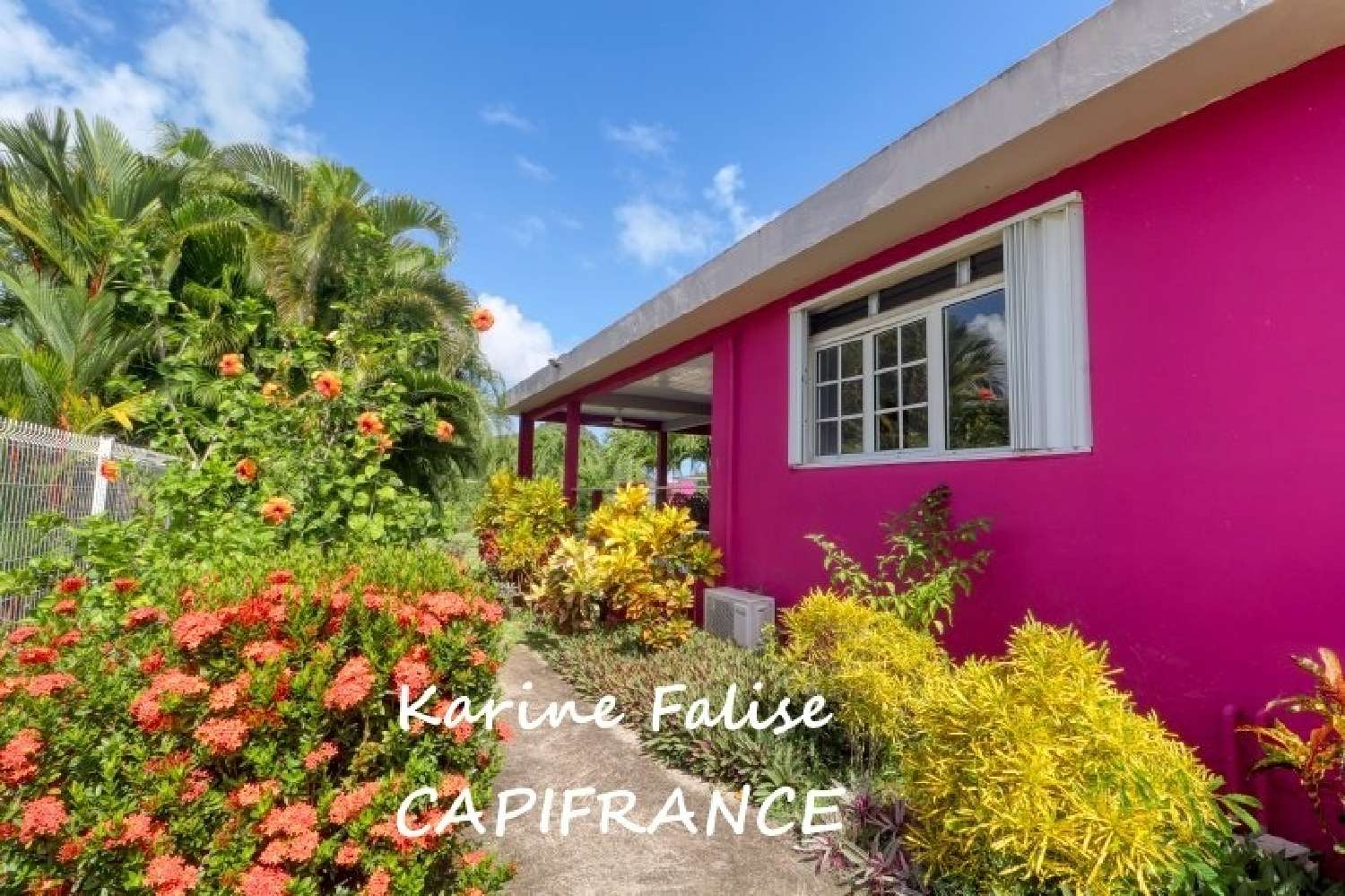  te koop huis Sainte-Anne Martinique 2