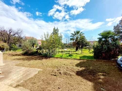 San-Nicolao Haute-Corse Haus Bild 7242235